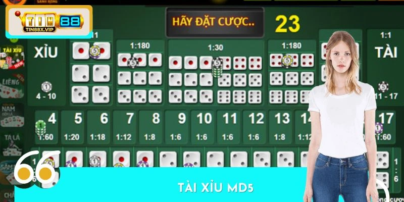 Tài Xỉu MD5 Tại TIN88 - Ứng Dụng Công Nghệ Mã Hóa Chính Xác